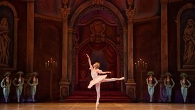 Спящая красавица