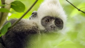 Земля: Один потрясающий день