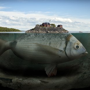 Эрик Йоханссон. По ту сторону реальности