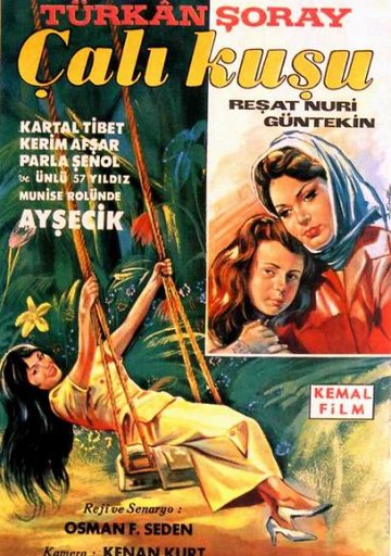 Тюркан Шорай (Türkân Şoray) – Актриса: фильмография, биография ...