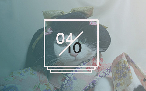 Кошки в кимоно, задница Ле Корбюзье, видеоигра по миру Уэса Андерсона