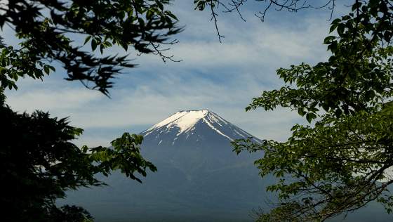 Ван Гог и Япония / Van Gogh & Japan