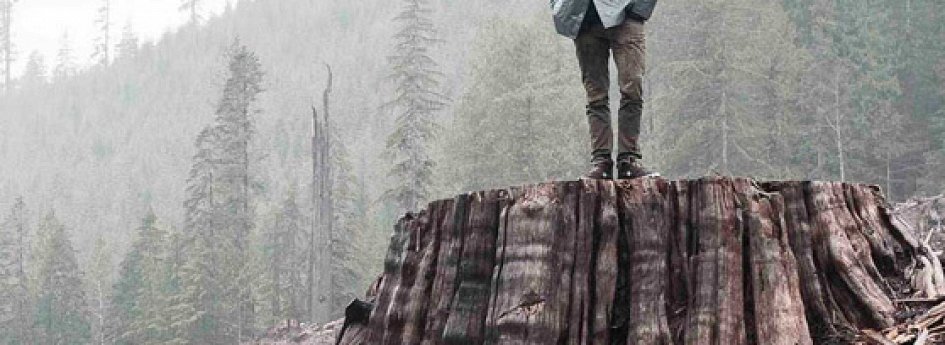 Кино: «Когда дерево падает: История Фронта освобождения Земли» Кино: «Когда дерево падает: История Фронта освобождения Земли»