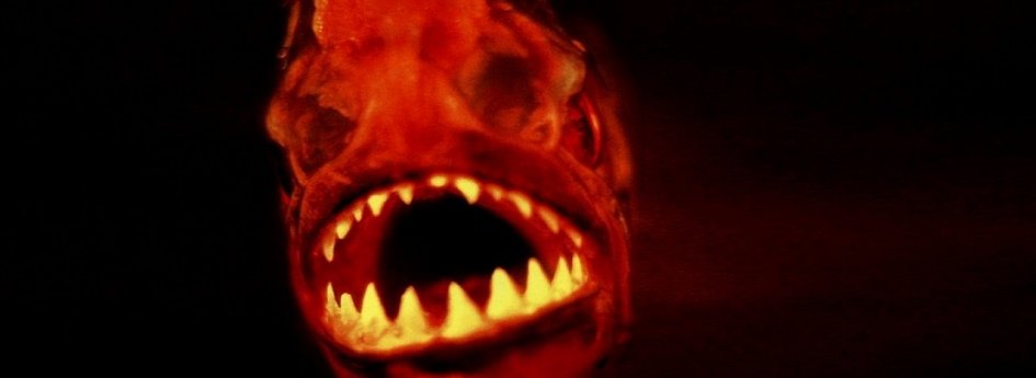 Фильм «Пираньи» Кино: «Пираньи»
