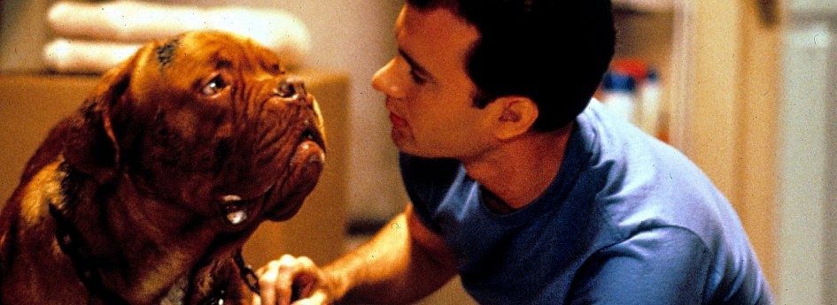 Фильм «Тернер и Хуч» Кино: «Тернер и Хуч»