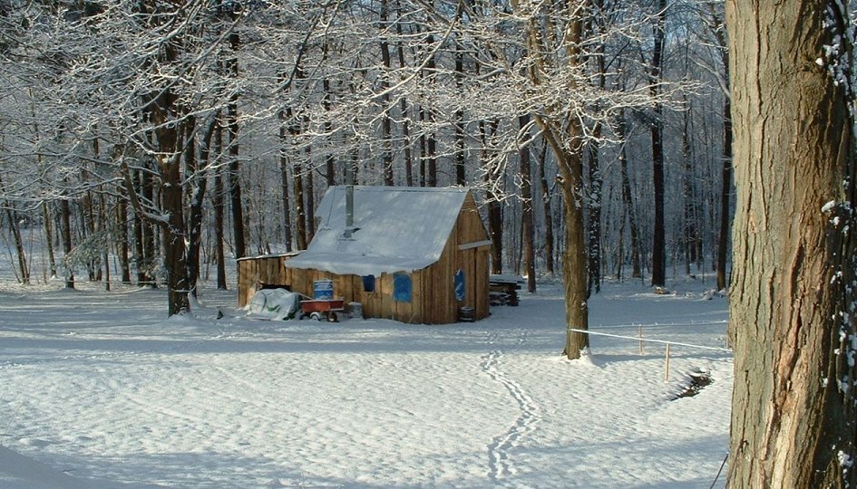 Кино: «Снег» Кино: «Снег»