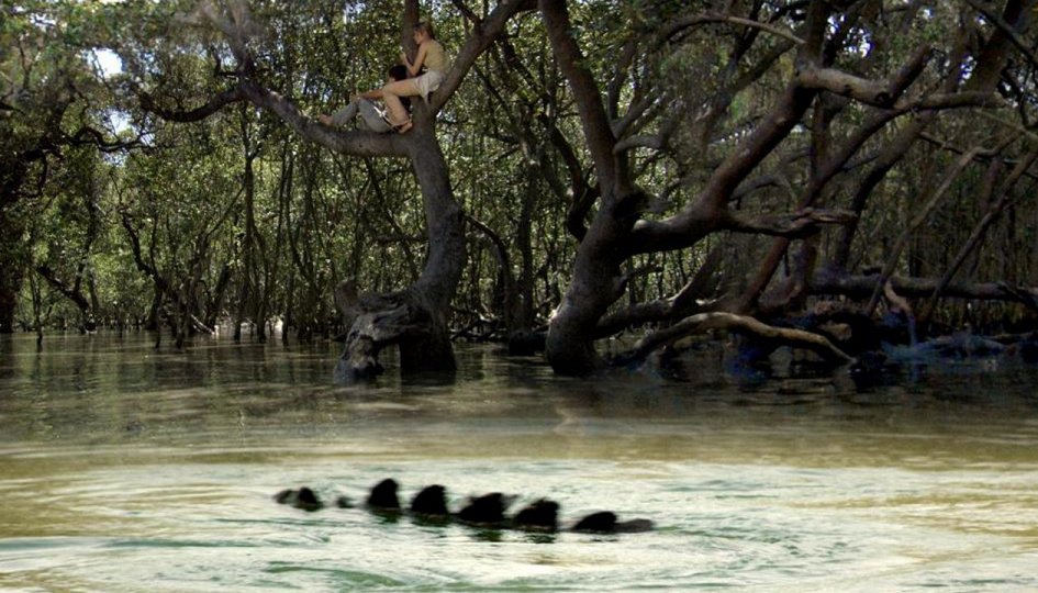 Кино: «Хищные воды» Кино: «Хищные воды»