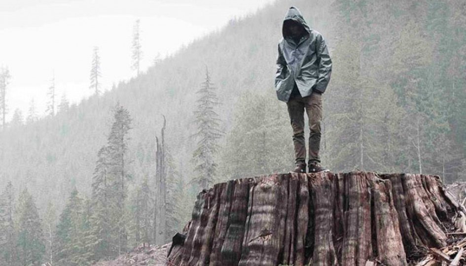 Кино: «Когда дерево падает: История Фронта освобождения Земли» Кино: «Когда дерево падает: История Фронта освобождения Земли»
