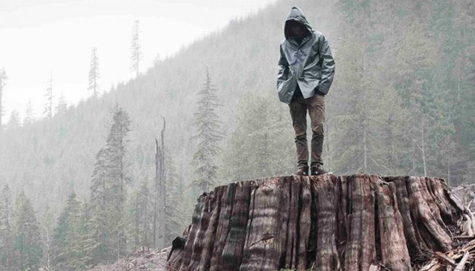 Кино: «Когда дерево падает: История Фронта освобождения Земли» Кино: «Когда дерево падает: История Фронта освобождения Земли»