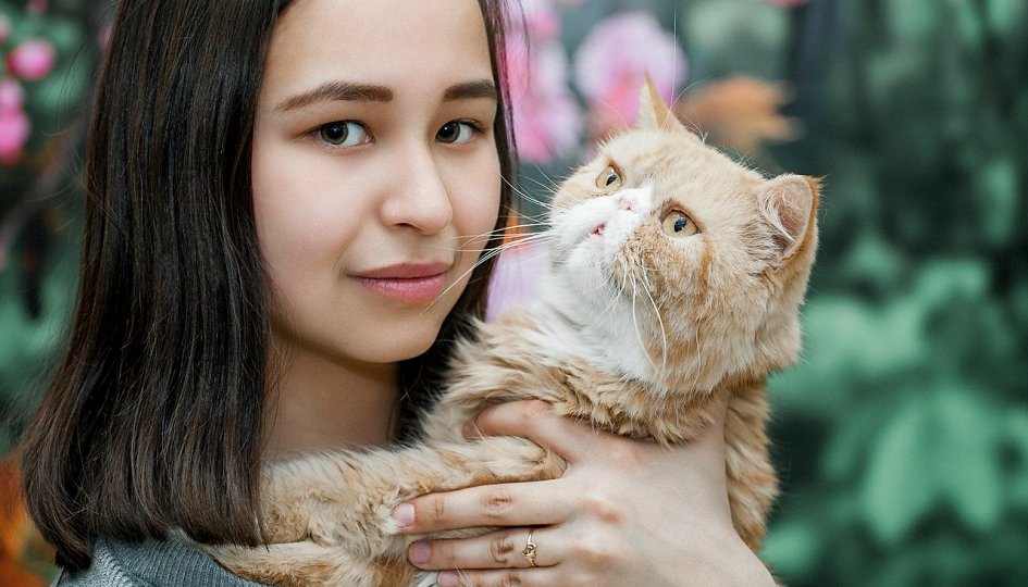 Выставки: Федерация кошек Выставки: Федерация кошек