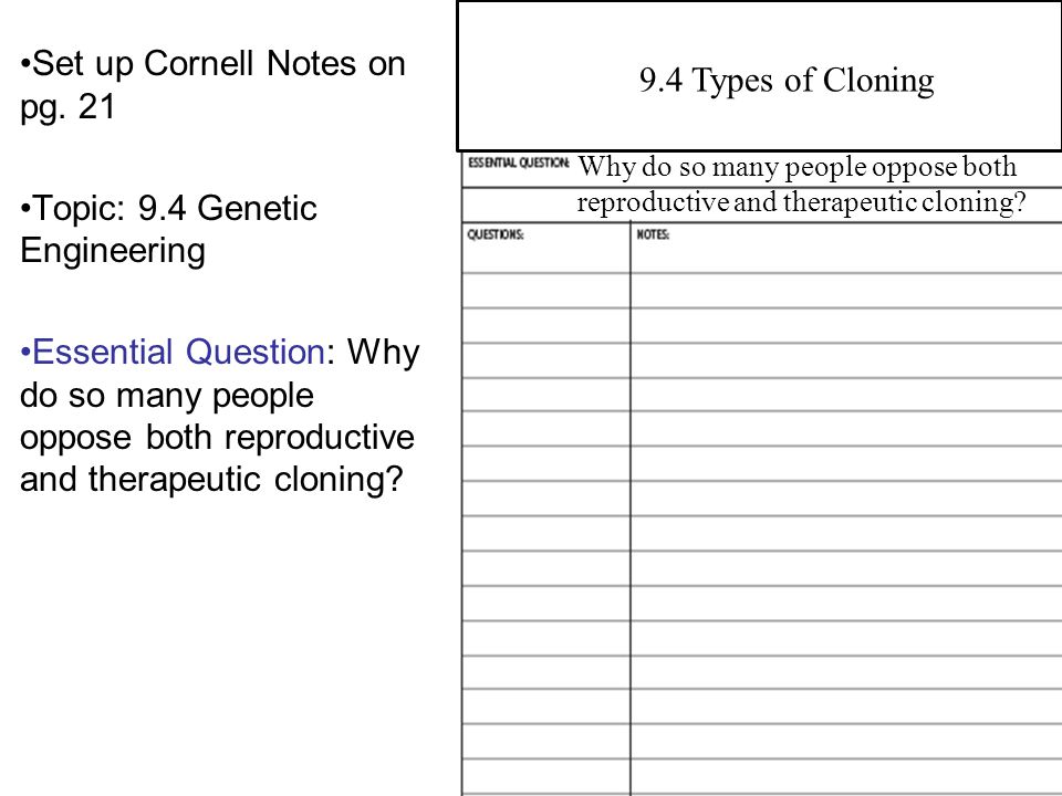 Expressive Essay Topics Cornell Supplement Essay Examples Cornell Engineering Conclusion Persuasive Essay also Introducing An Essay Cornell Engineering Essay Examples Mistyhamel Essay Health