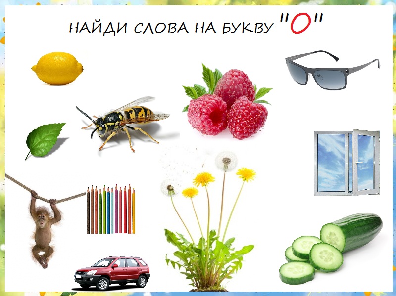 слова на букву о в картинках для детей онлайн слова на букву о в картинках для детей