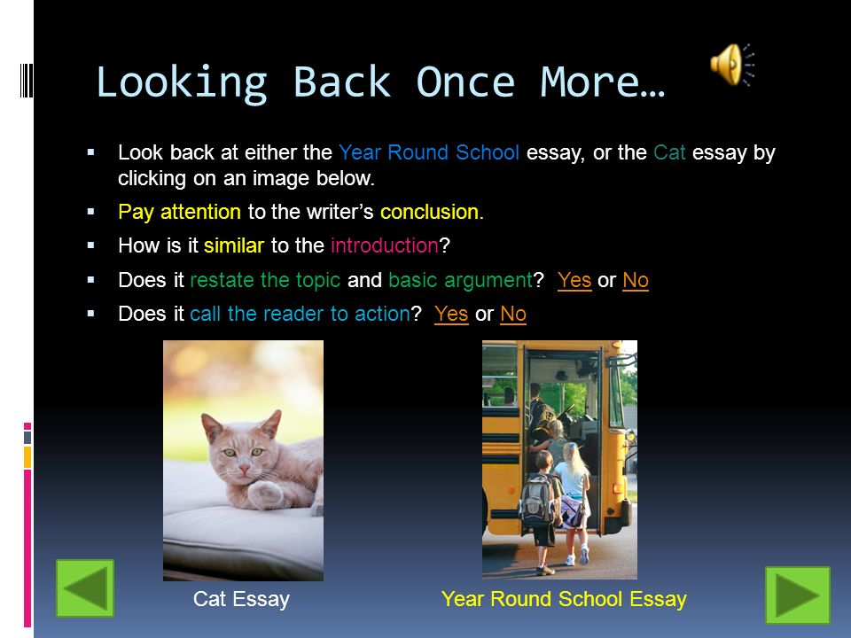 Essay Topics High School Cat Essay Writer The Oscillation Band Essays About Science also Apa Format Essay Paper Write My Cat Essay Writer Essay About Science And Technology